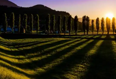 1768315865300412.png image.png