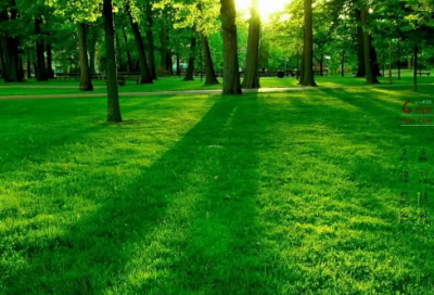 ​睡前发圈万人点赞的句子 晚上吸引朋友圈的句子