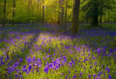 ​国庆发朋友圈句子57句