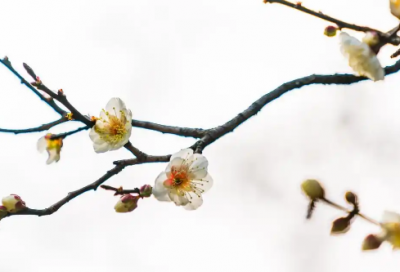 ​2026劳动节发朋友圈座右铭句子