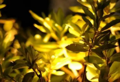 ​朋友圈伤感句子摘录