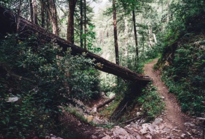 ​祝福新人结婚的话适合发朋友圈