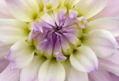 ​朋友圈发悲伤句子