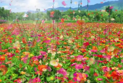 ​简洁的温馨的晚安心语朋友圈