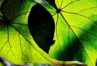 ​适合发老公生日的朋友圈文案