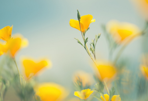 1768320505506791.png image.png