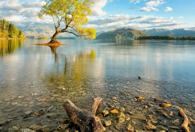 ​2026中秋节发朋友圈的简短句子 2026跨年发朋友圈的精美句子