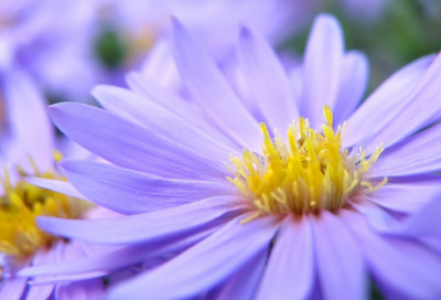 ​晚安心语的朋友圈文案