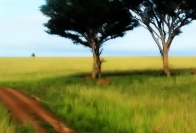 ​关于父爱的朋友圈文案(父爱如山的朋友圈文案)