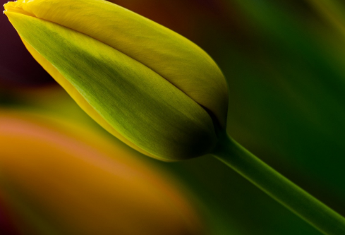 1768322825433501.png image.png