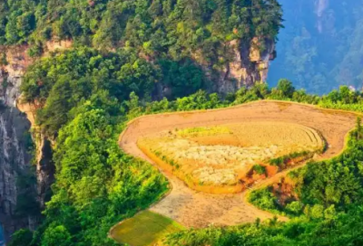 ​2026最新教师节经典句子 教师节朋友圈