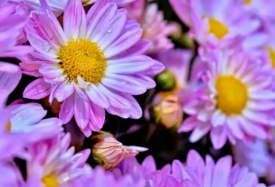 ​开心有趣的朋友圈早安祝福文案