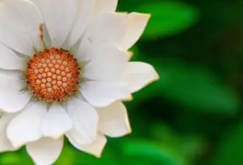 1768323819189278.png image.png