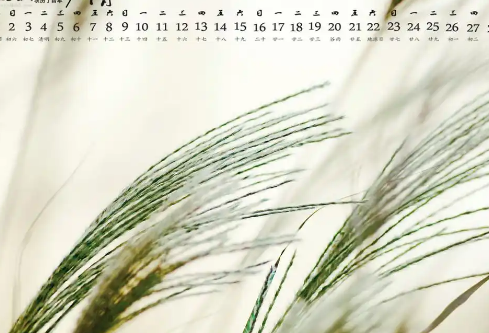 1768324482871001.png image.png