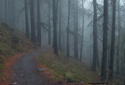 ​适合发朋友圈的2026唯美结束语文案