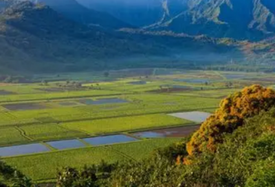 ​朋友圈公布对象的文案句子(在朋友圈公布对象的文案)