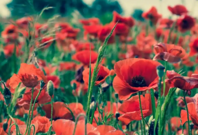 ​朋友圈男朋友说说80句