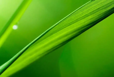 ​2026年男生朋友圈说说的好句子大全