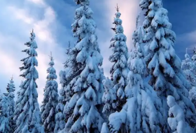 ​朋友圈发孩子文案(小孩子发朋友圈文案)