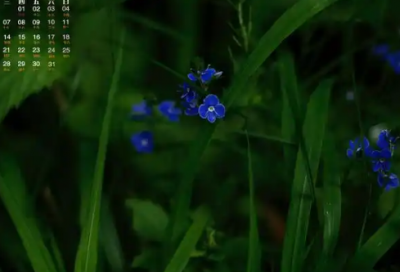​90后奔三的感慨句子 30岁生日经典朋友圈