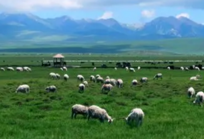 ​晚安的朋友圈说说 发晚安的朋友圈说说精选