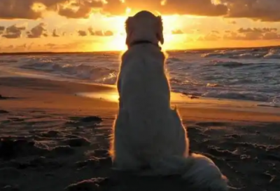 ​朋友圈感人的句子85句