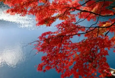 ​2026暑假结束心情说说 暑假结束发朋友圈的句子