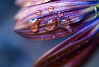 ​听音乐的文案(听音乐的朋友圈文案)