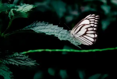 ​入冬的经典朋友圈说说大全