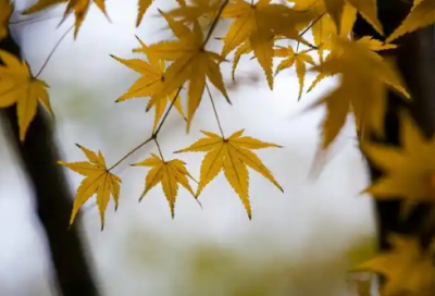 ​抒情朋友圈说说心情88句