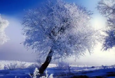 ​朋友圈文案霸气高冷(高冷霸气的朋友圈文案)