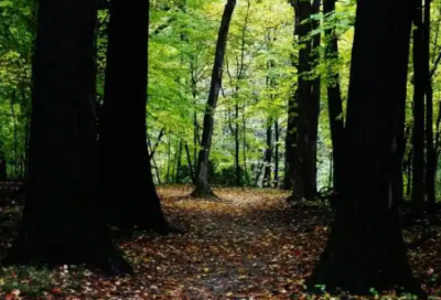 ​早安正能量激励朋友圈 朋友圈早安文案正能量