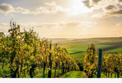 ​健身文案朋友圈(健身励志文案朋友圈)