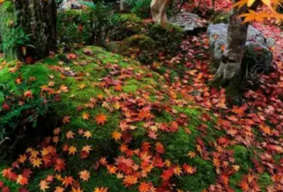 ​早安经典说说句子 早安朋友圈句子