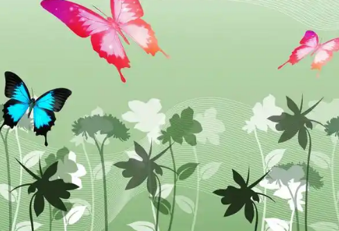 1768336910343644.png image.png