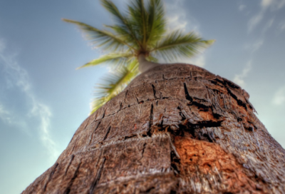 ​男生暗恋女生表现 处于暗恋发朋友圈的句子