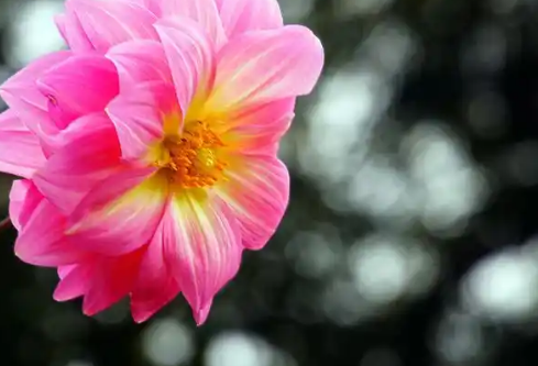 1768338070794965.png image.png