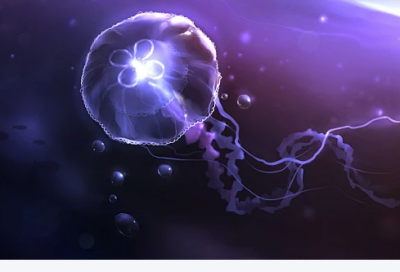 ​朋友圈风景文案美句(朋友圈风景图文案)