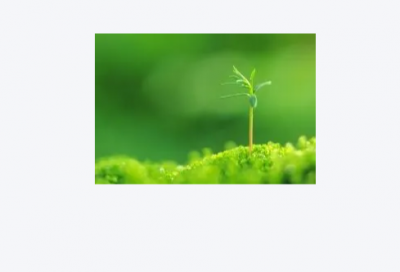 ​2026端午节吃粽子的朋友圈说说(端午粽子朋友圈说说)