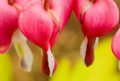 ​2026万圣节朋友圈吓人幽默的文案说说