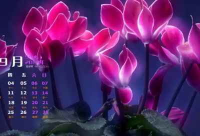 ​朋友圈说说表白短句85句