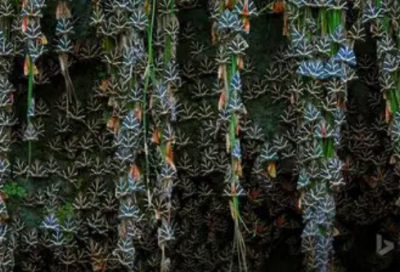 ​女朋友生日怎么发朋友圈文案(女朋友过生日祝福朋友圈文案)