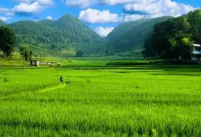 ​2026天气热朋友圈文案句子 朋友圈文案句子