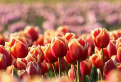 ​思念个性朋友圈心语句子