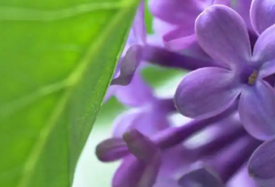 ​朋友圈说说哲学85句